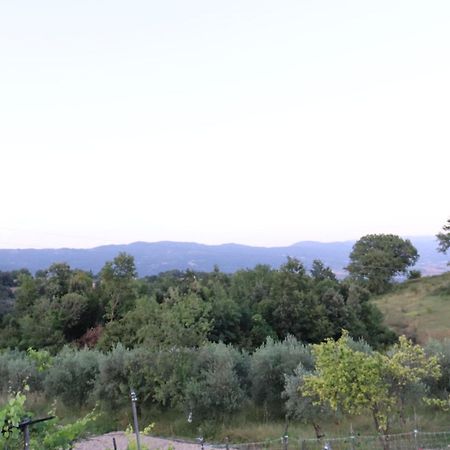 Ligustro Home Laino Borgo Kültér fotó